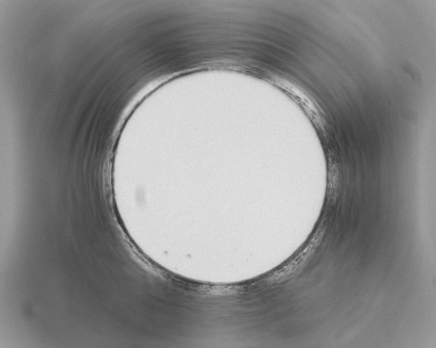 X0000115350808200912151335