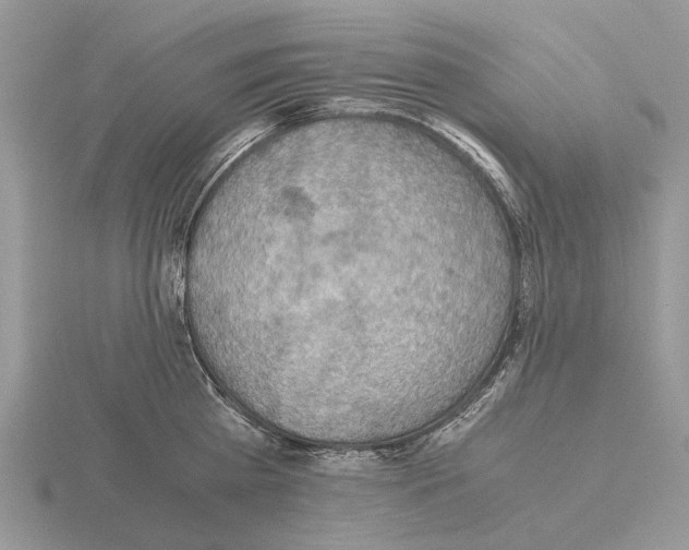 X0000115350809200912151335