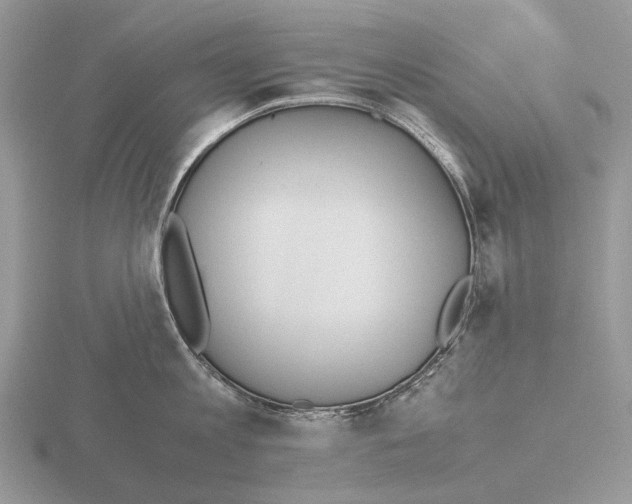 X0000115350813200912151334