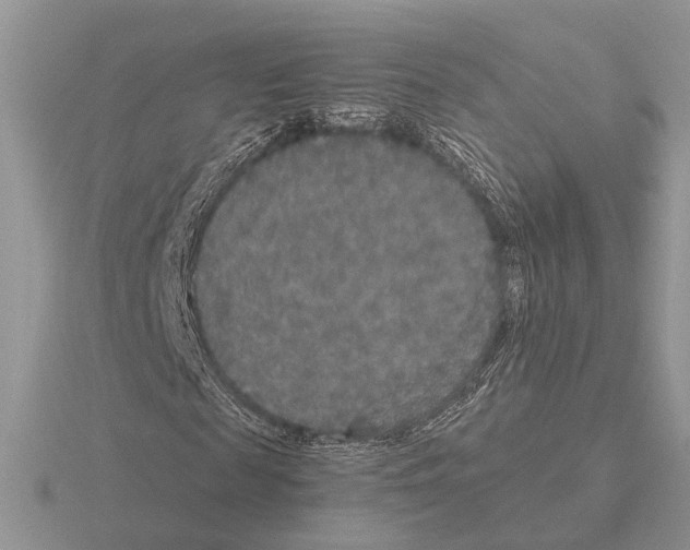 X0000115350817200912151334