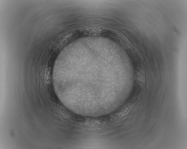 X0000115350818200912151334