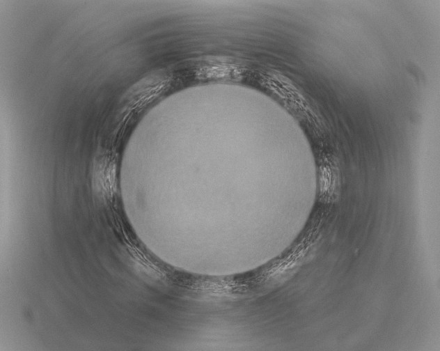 X0000115350820200912151334