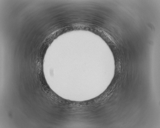 X0000115350821200912151334