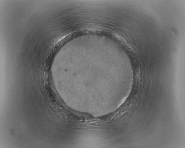 X0000115350822200912151334