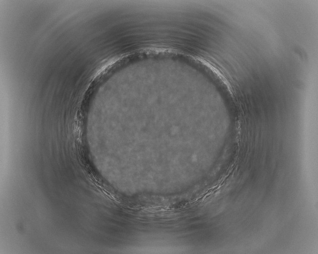 X0000115350823200912151334