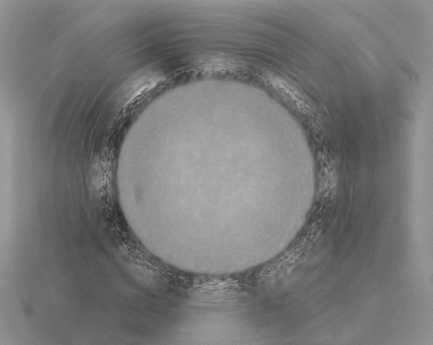 X0000115350824200912151334