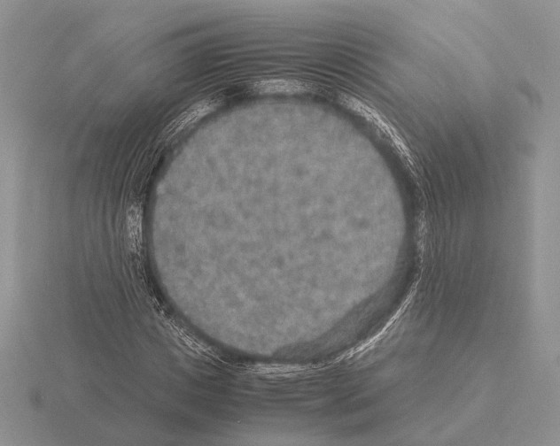 X0000115350825200912151334