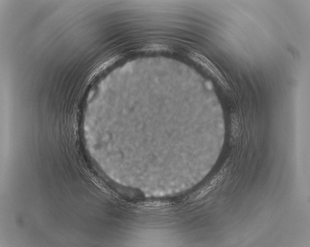 X0000115350826200912151334