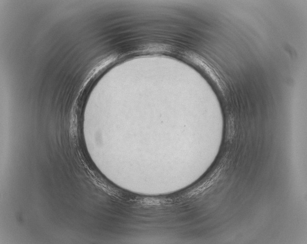 X0000115350827200912151334