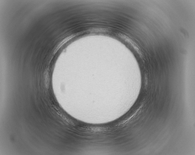 X0000115350829200912151334