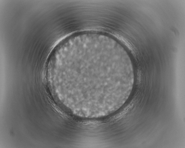 X0000115350830200912151334