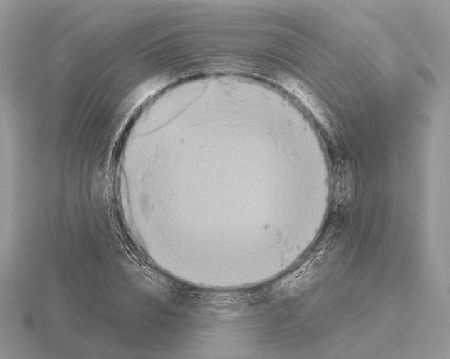 X0000115350832200912151334