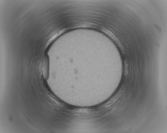 X0000115350834200912151334