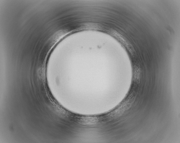 X0000115350836200912151334