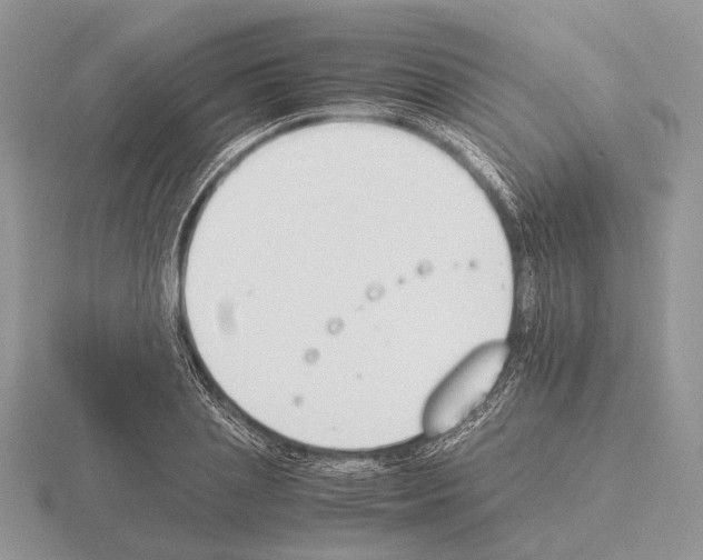 X0000115350837200912151334