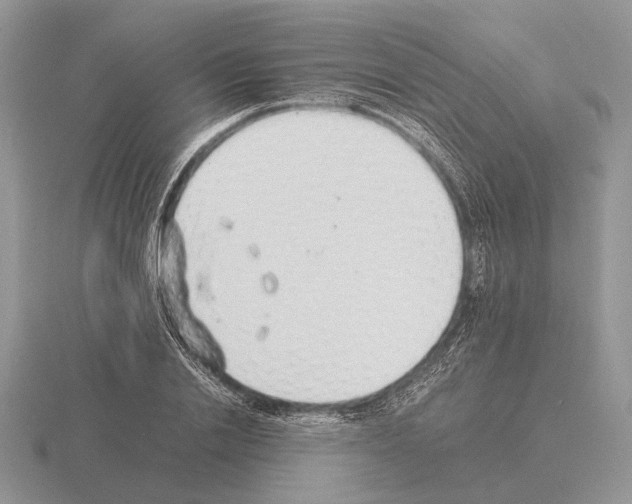 X0000115350838200912151334