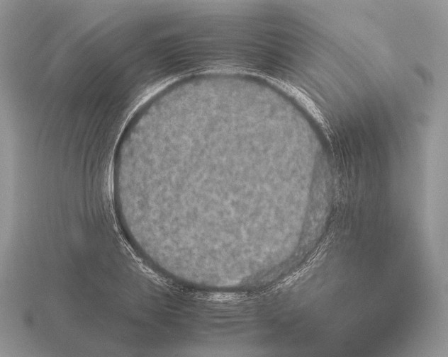 X0000115350839200912151334