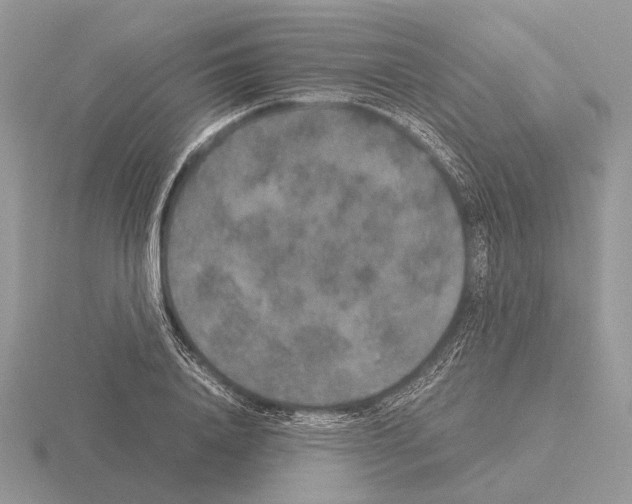 X0000115350840200912151334