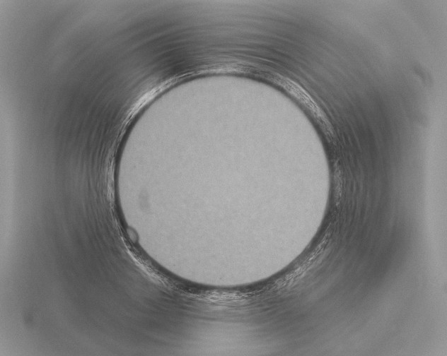 X0000115350842200912151334