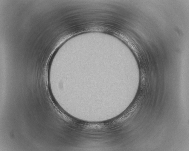 X0000115350843200912151334