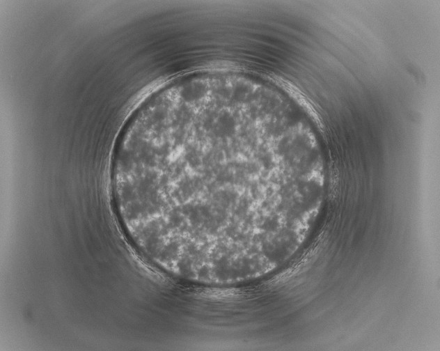 X0000115350845200912151334