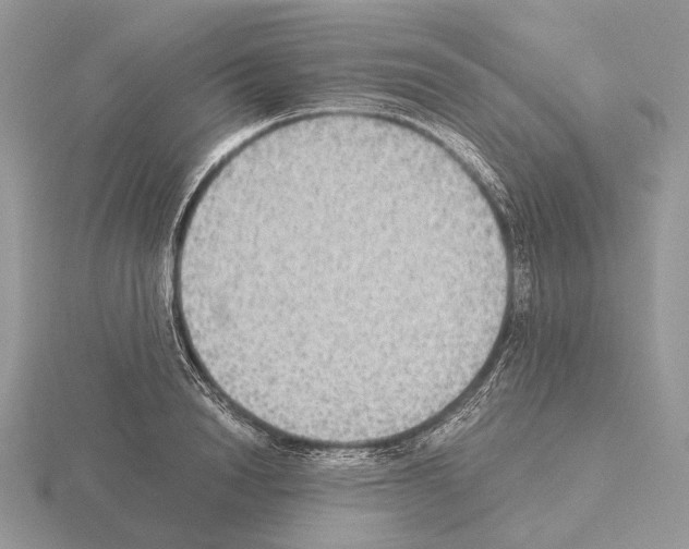 X0000115350846200912151334