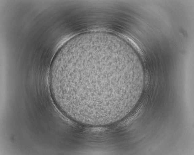 X0000115350847200912151334