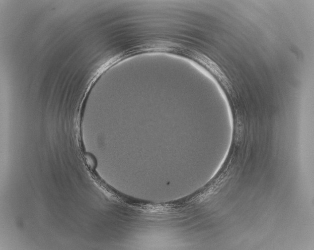 X0000115350850200912151334