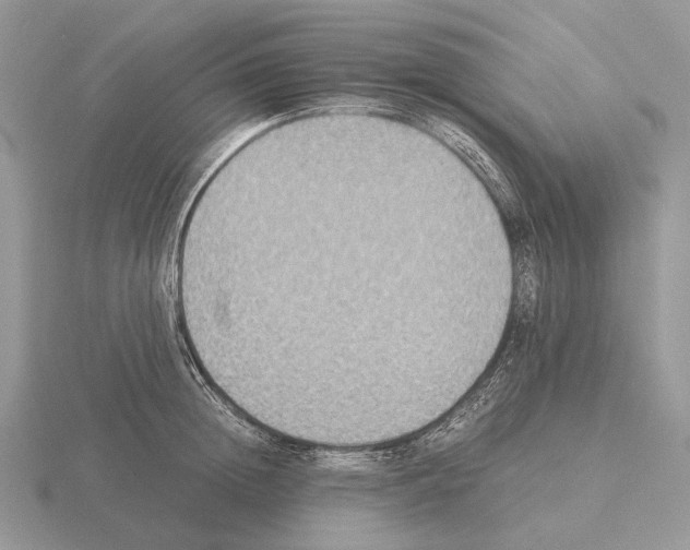 X0000115350852200912151334