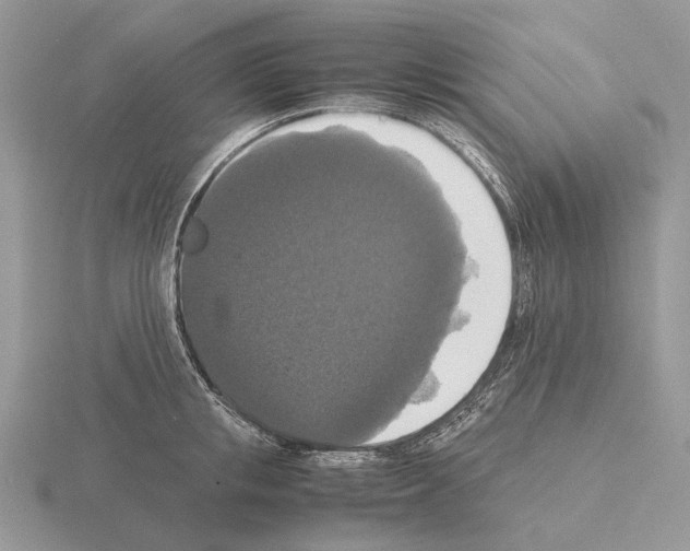 X0000115350853200912151334