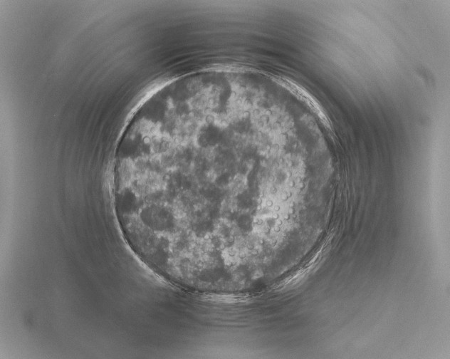 X0000115350855200912151334