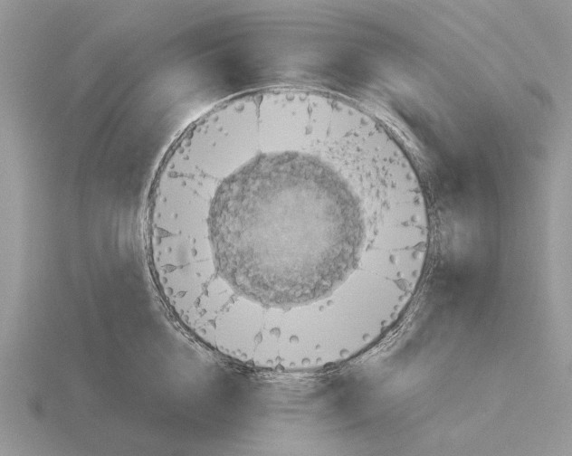 X0000115350856200912151334