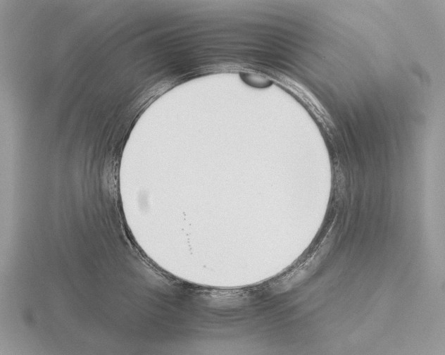 X0000115350857200912151334