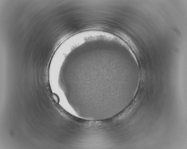 X0000115350858200912151334