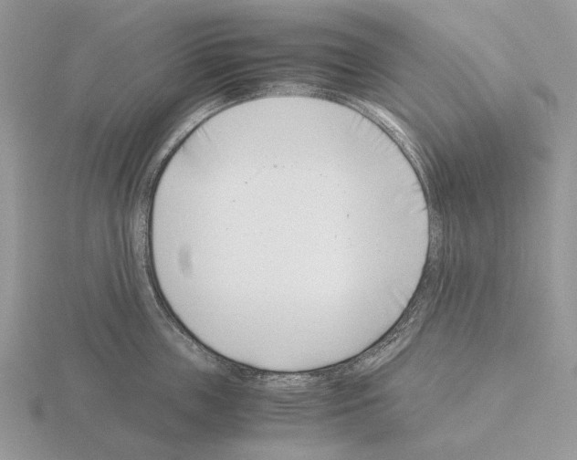 X0000115350859200912151334