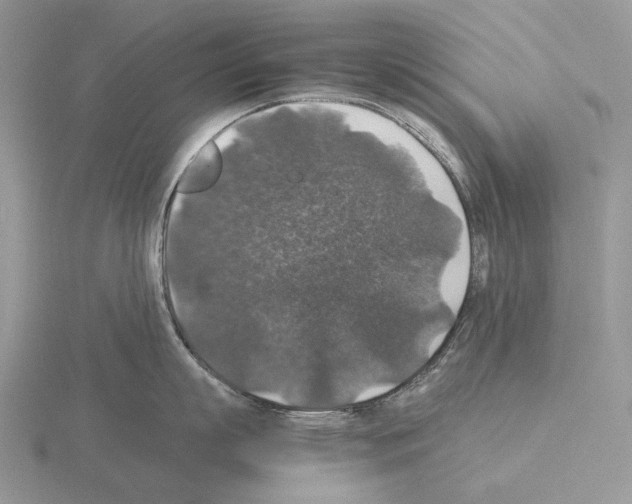 X0000115350863200912151334