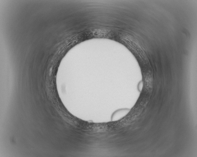 X0000115350865200912151334