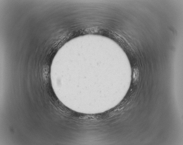 X0000115350867200912151334