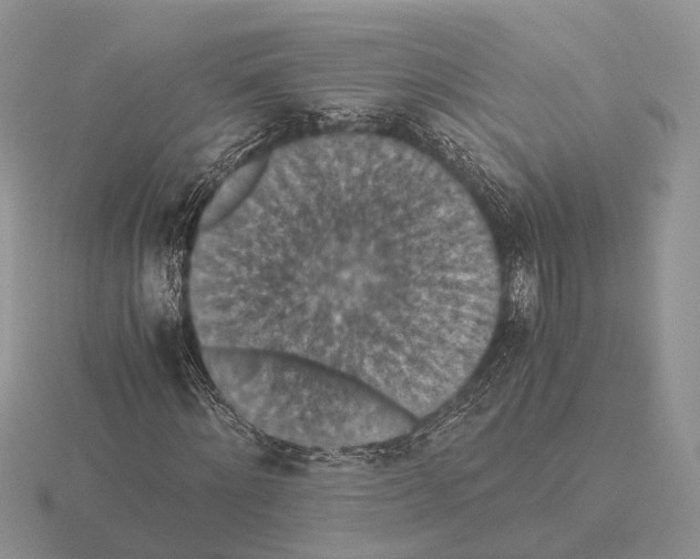 X0000115350868200912151334