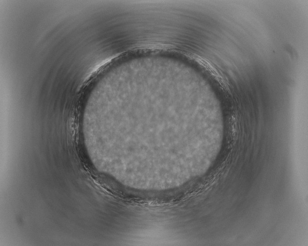 X0000115350872200912151334