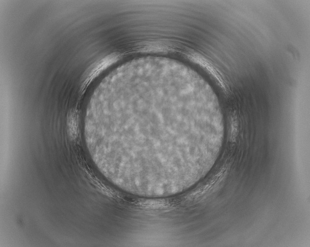 X0000115350874200912151334