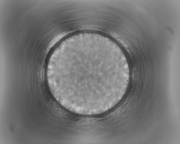 X0000115350877200912151334