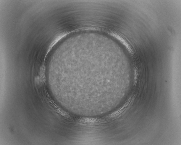 X0000115350878200912151334