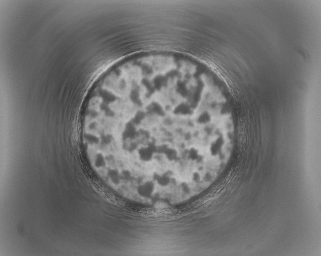 X0000115350879200912151334