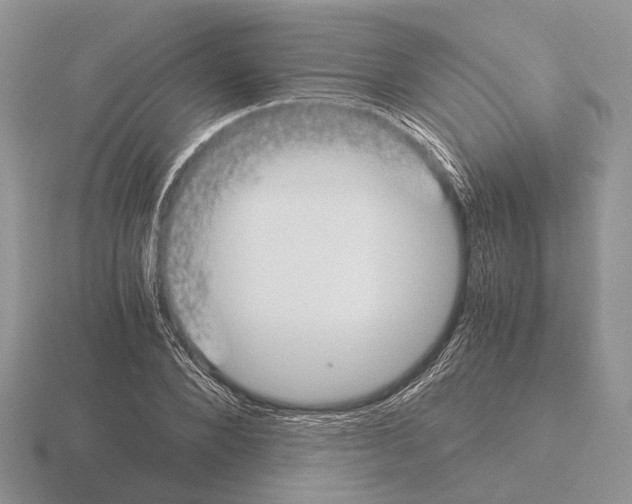 X0000115350880200912151334