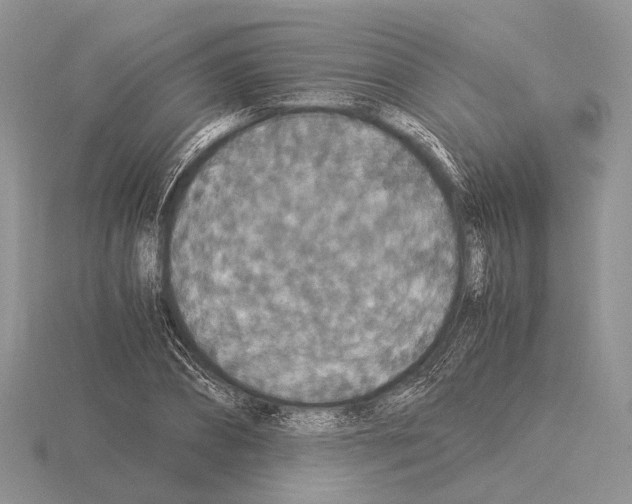 X0000115350882200912151334