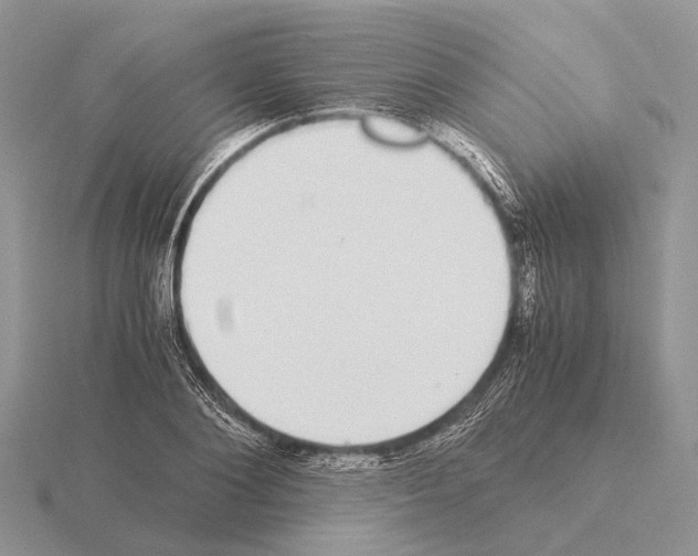 X0000115350884200912151334