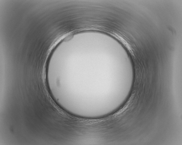 X0000115350885200912151334