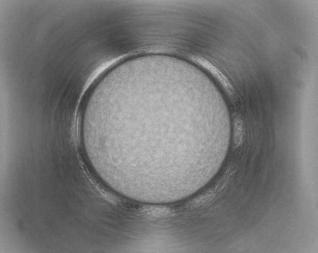 X0000115350886200912151334