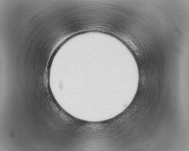 X0000115350888200912151334